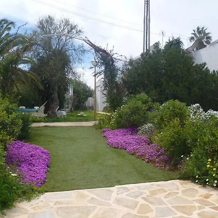 Estudio With Sea View Cala Martina كالا يِنيا